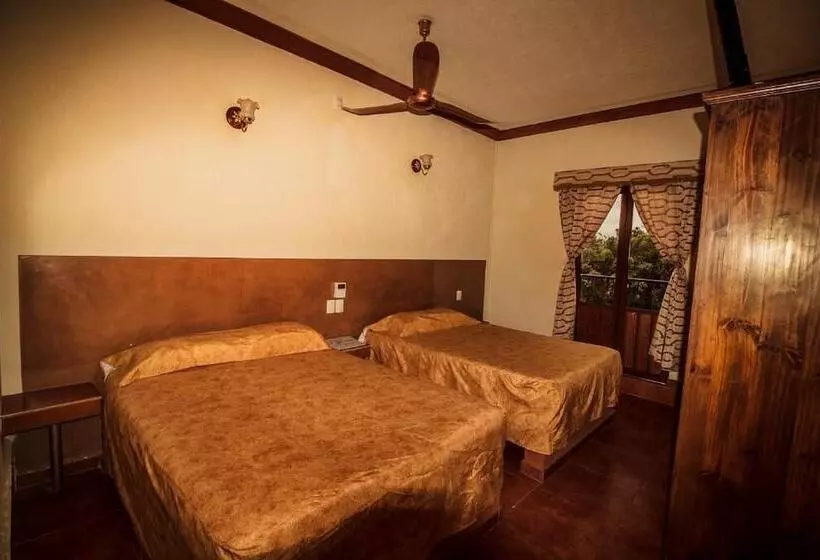 Hotel & Suites Posada Molina