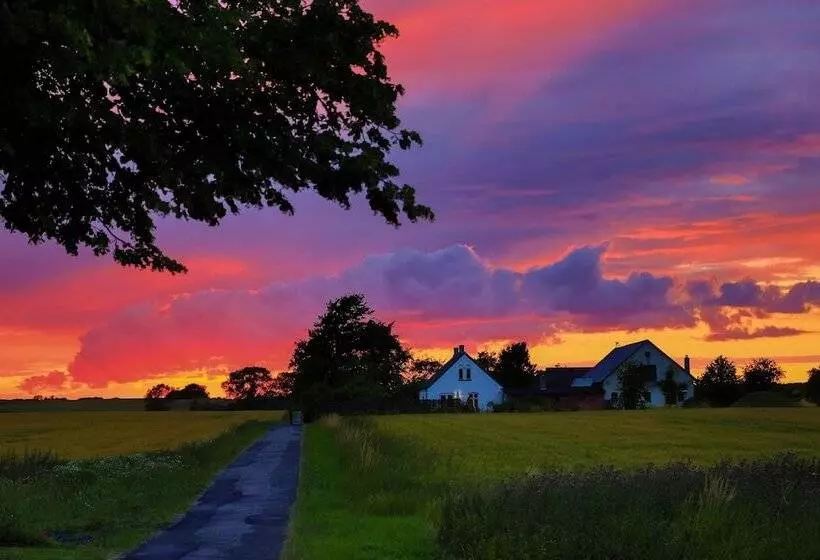 Liseby Bed & Breakfast