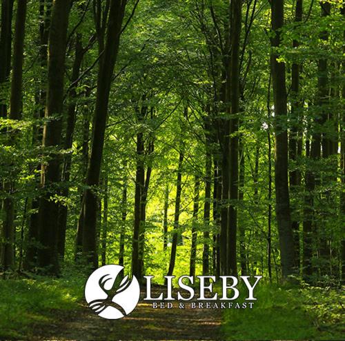 Liseby Bed & Breakfast