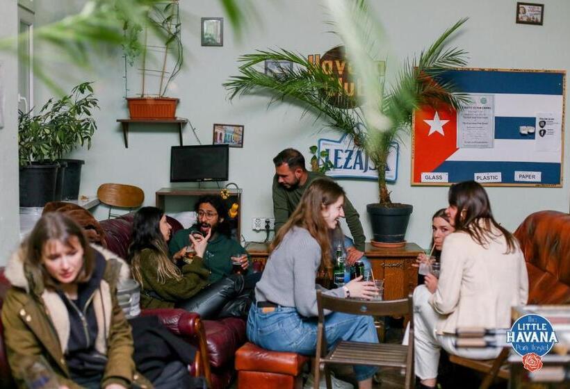 The Little Havana Party Hostel