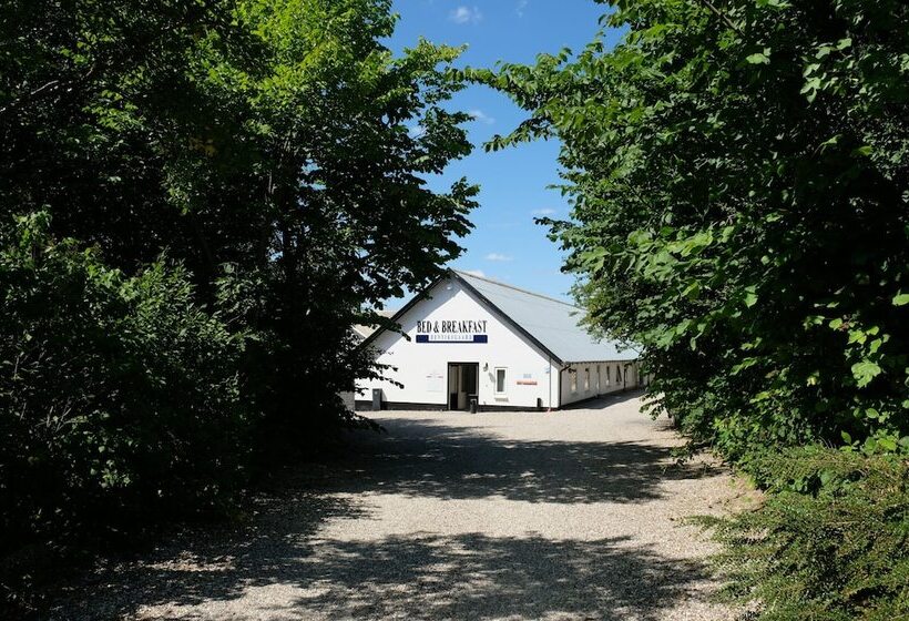 ホテル Benniksgaard Bed & Breakfast