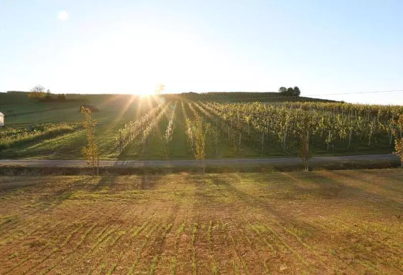 Aamiaismajoitus (B&B) Bed&breakfast Vinarija Coner