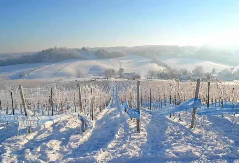 Aamiaismajoitus (B&B) Bed&breakfast Vinarija Coner