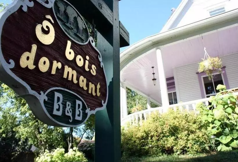 ô Bois Dormant B&b