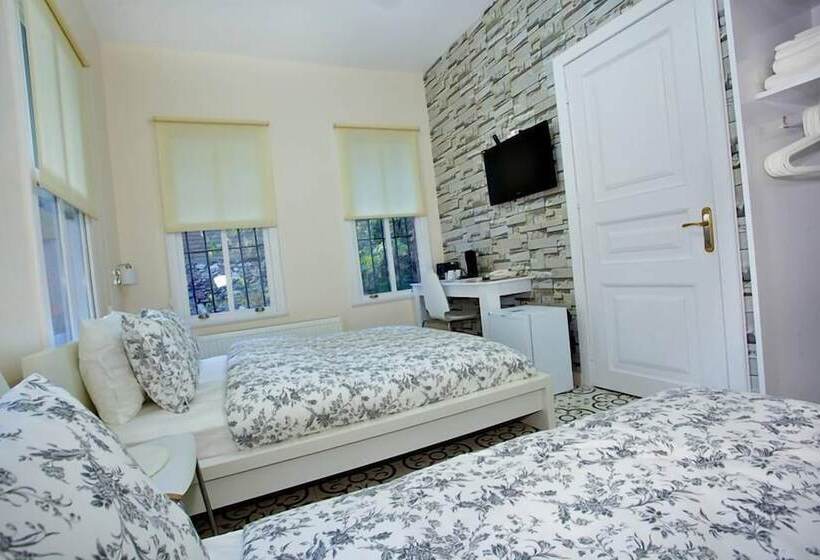 ベッドアンドブレックファースト Dreamers V&v Hotel Cihangir