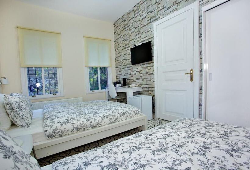 ベッドアンドブレックファースト Dreamers V&v Hotel Cihangir