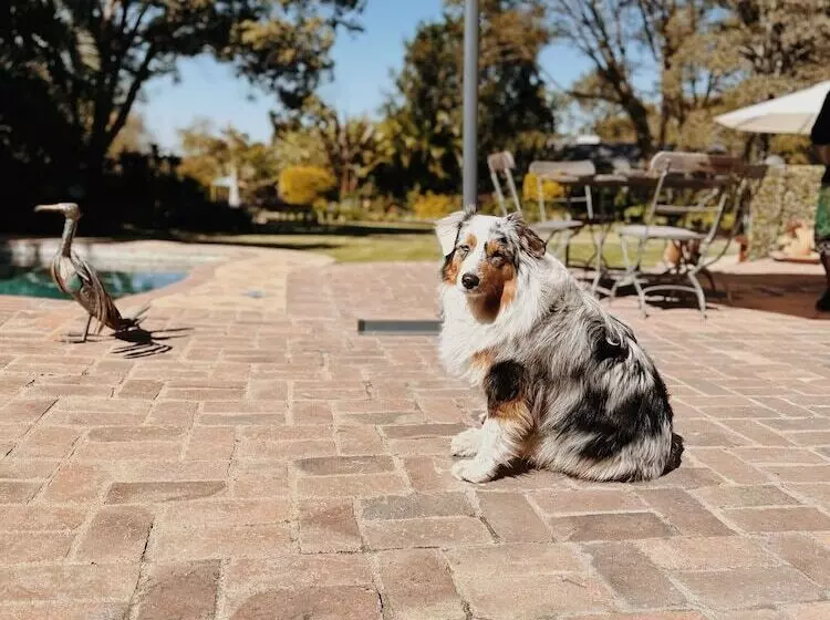 تختخواب و صبحانه Malcolm Lodge