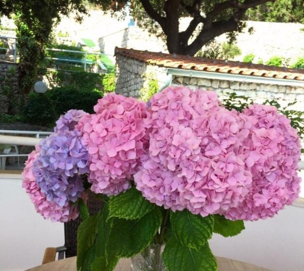 مبيت وإفطار Rooms Tepli Bok