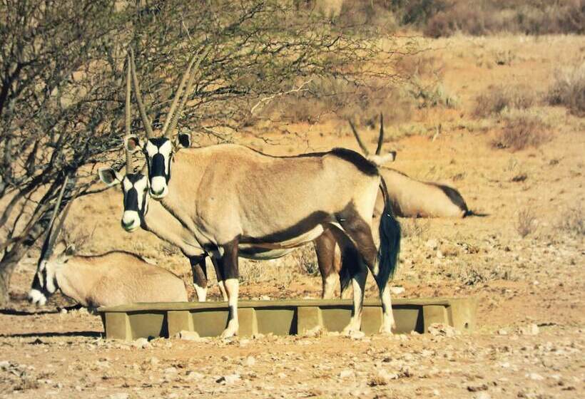 تختخواب و صبحانه Vastrap Guest Farm