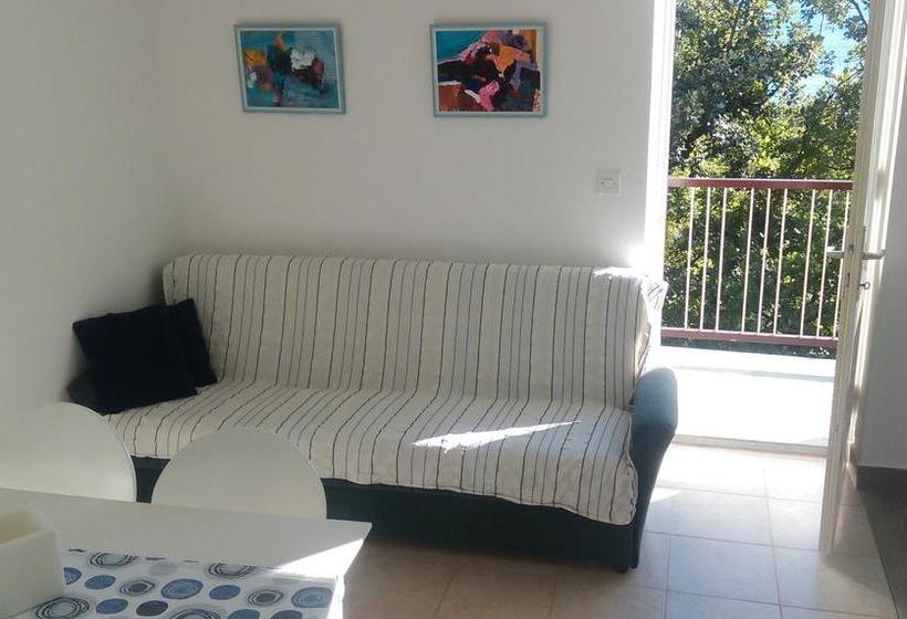 Little Seahorse Hostel & Suites