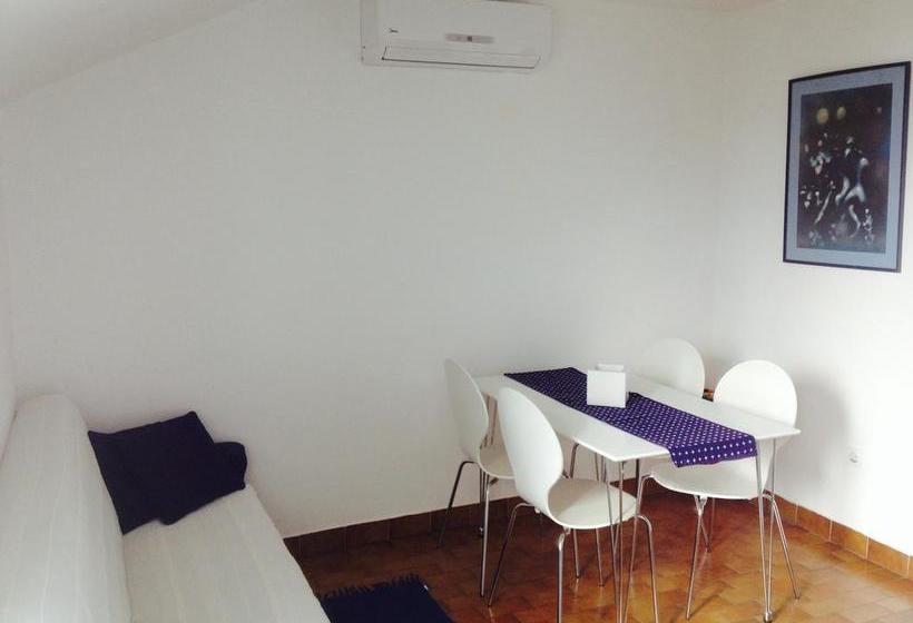 Little Seahorse Hostel & Suites