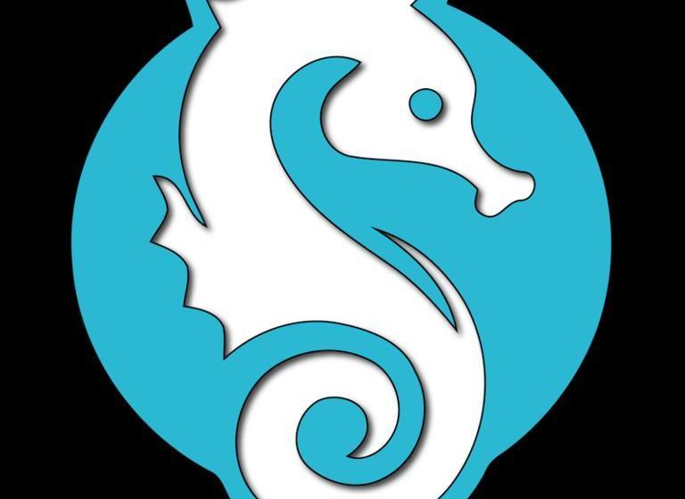 Little Seahorse Hostel & Suites