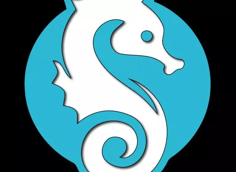 Little Seahorse Hostel & Suites