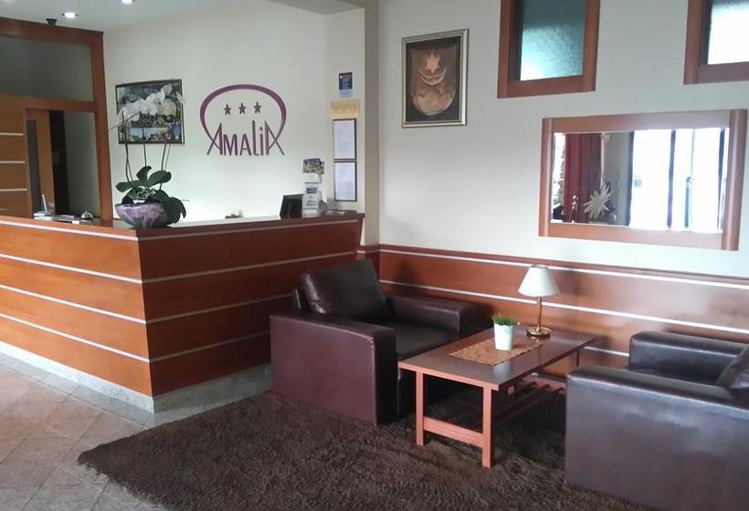 Отель Amalia