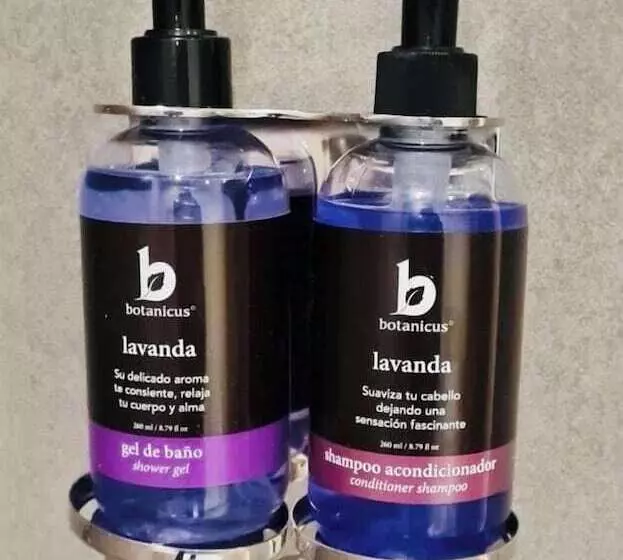 ホテル Fiesta Inn Express Ciudad De México Forum Buenavista