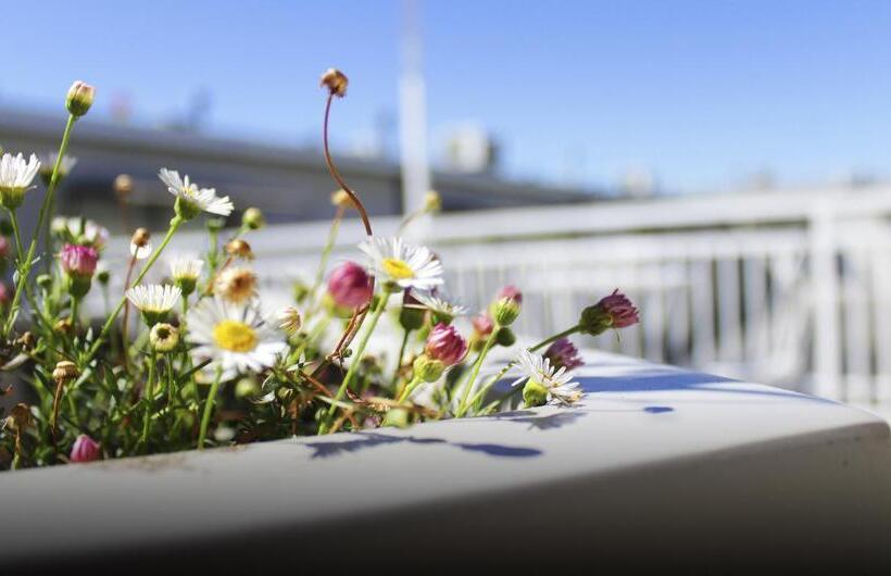 هتل Las Terrazas Business