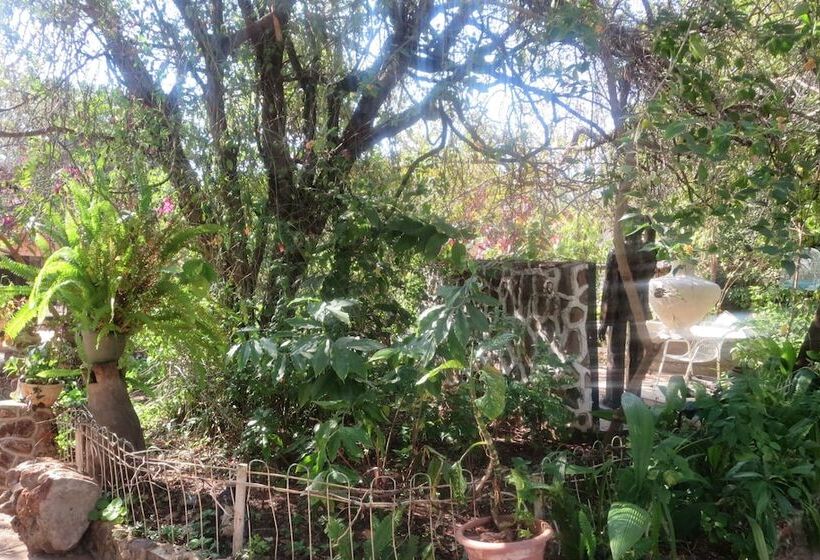 هتل Tatenda Safaris