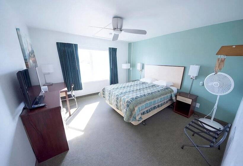 Мотель Rewak Studios