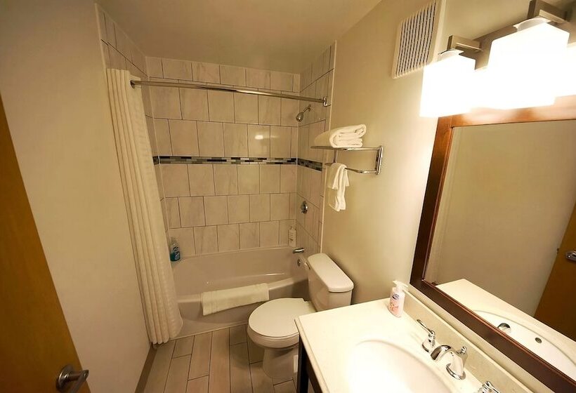 Мотель Rewak Studios