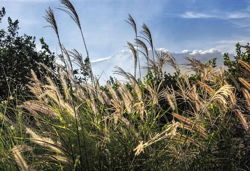 مسافرخانه Ramo D Aria Etna Boutique