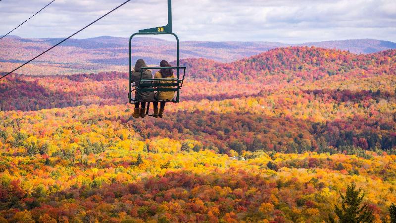 Отель Adirondack Lodge Old Forge
