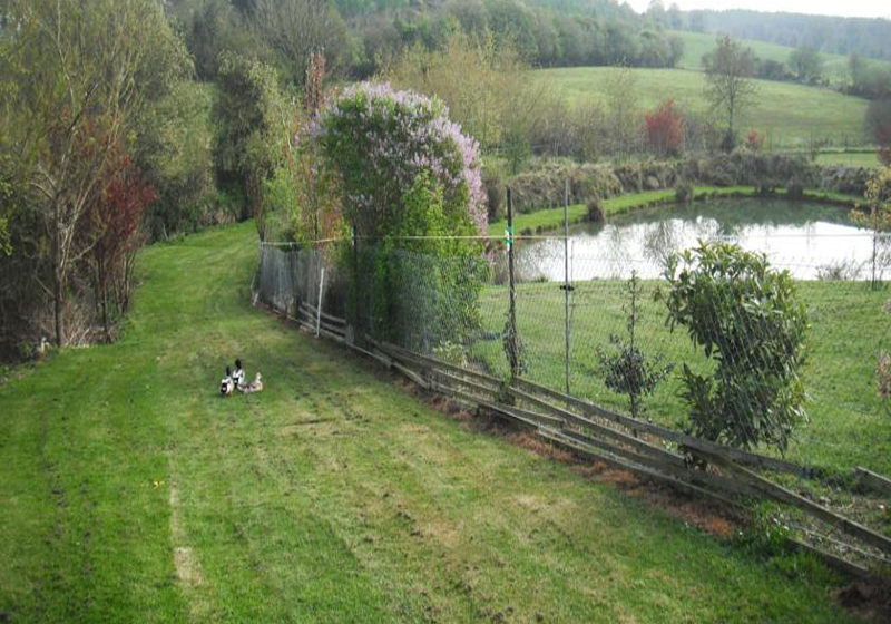 酒店 Dawn House B&b