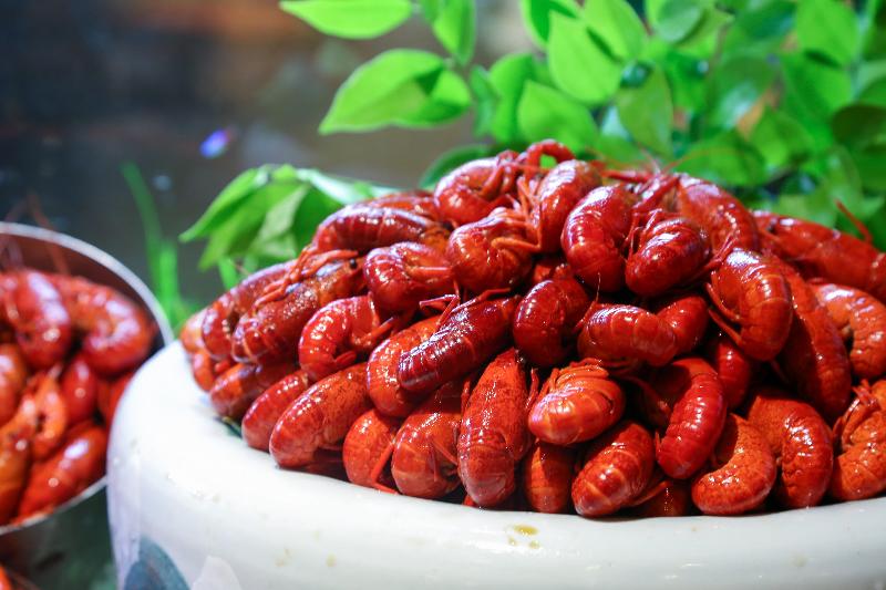 酒店 Hualuxe Wuxi Taihu, An Ihg