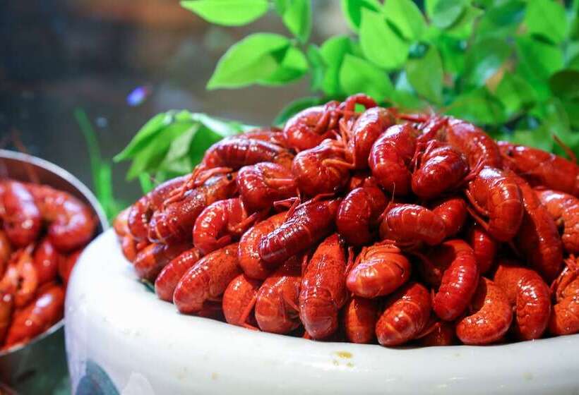 酒店 Hualuxe Wuxi Taihu, An Ihg