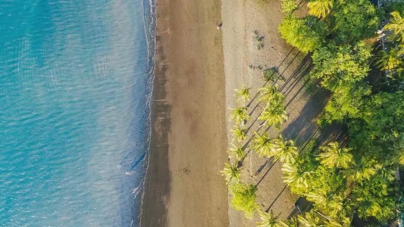 Hotelli Papagayo Golden Palms Beachfront