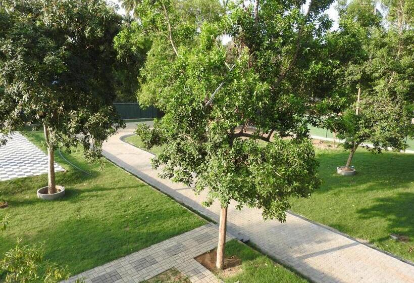 فندق The Grand Yala