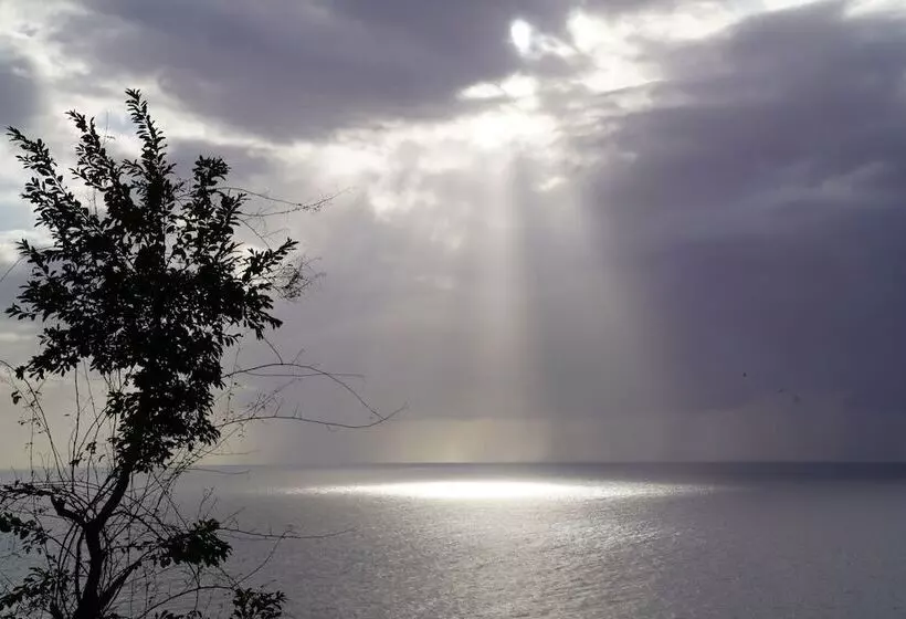 Villa Being   Tobago Luxury B&b