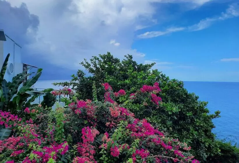 Villa Being   Tobago Luxury B&b