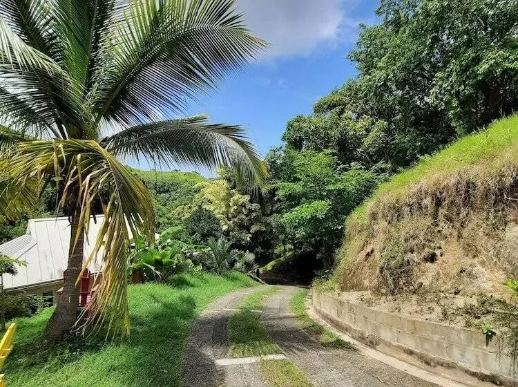 Villa Being   Tobago Luxury B&b