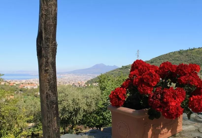 ホテル Agriturismo Casa Scola