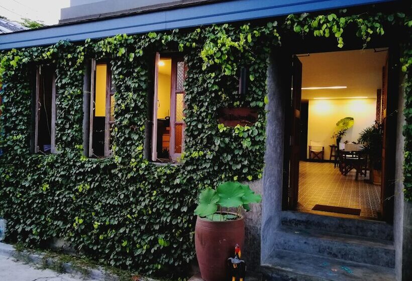 فندق The Umbrella House   Sha Extra Plus