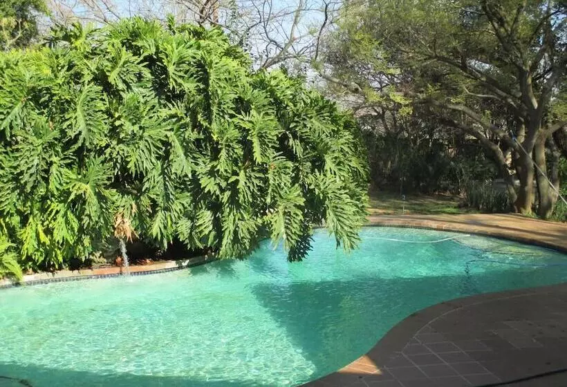 Majatalo Monchique Boutique Guest House