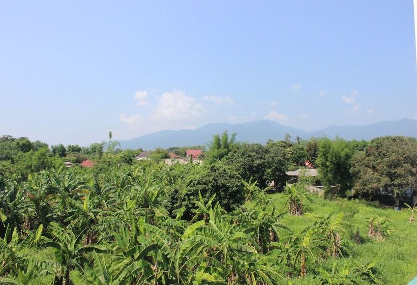 Palette The Grand Morocc