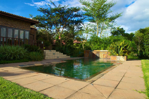 White River Martin S Nest