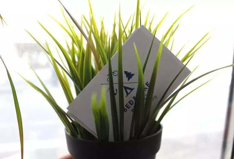 Hostel Bedandbike Rooms