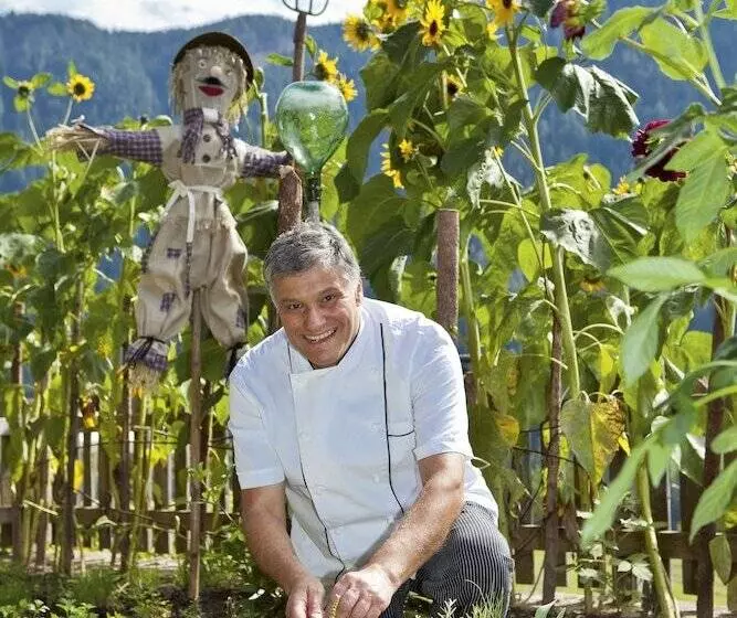 Alpinhotel Vajolet   Adults Only