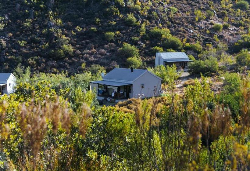 Cederkloof Botanical Retreat