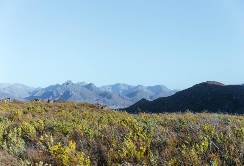 Cederkloof Botanical Retreat