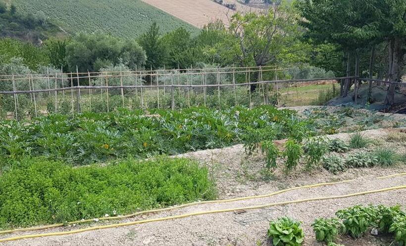 Отель Agriturismo Fiore Di Campo