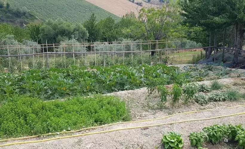 ホテル Agriturismo Fiore Di Campo