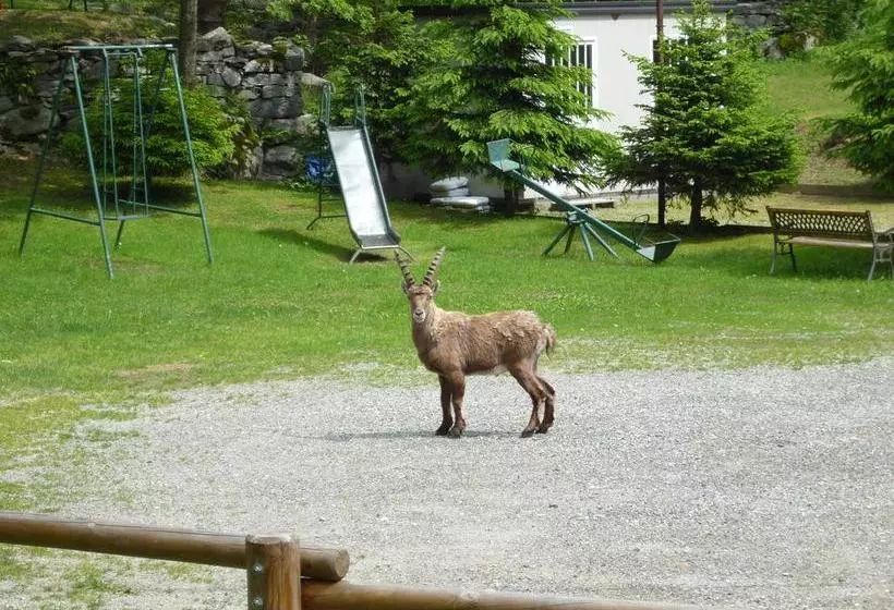 Hotelli Fior Di Roccia