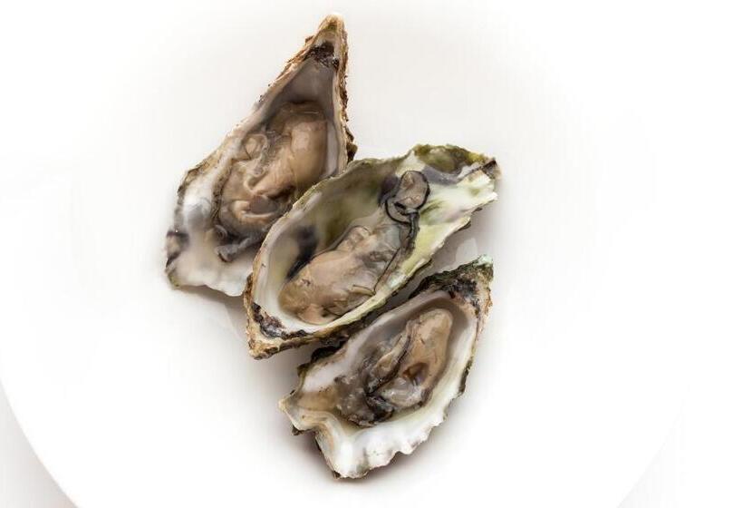 酒店 Restaurante Cabo Vidío