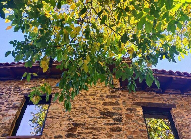 Отель Rural Las Campares