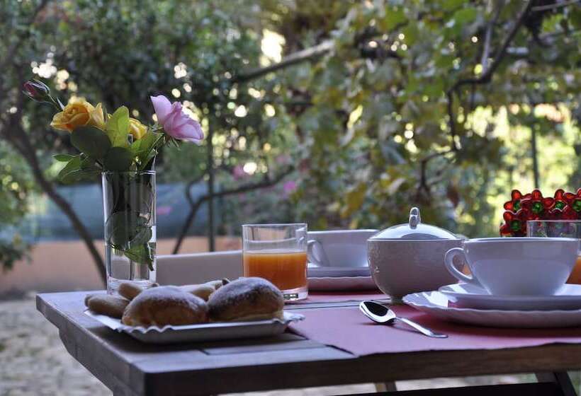 פנסיון Marcella House