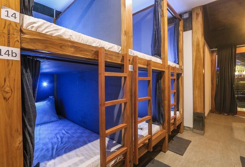 הוסטל Green Hill Boutique