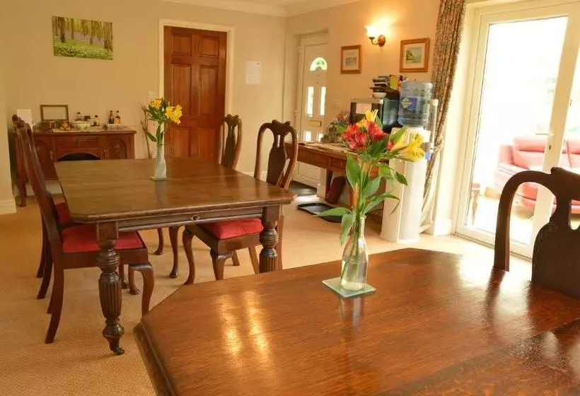 Aamiaismajoitus (B&B) Bryn Hebog